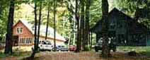 Two cabins in the woods