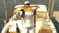 Gone fishing!